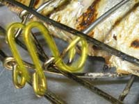 �����c������