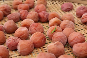 �����@�G�E�H�[�N�}�b�g