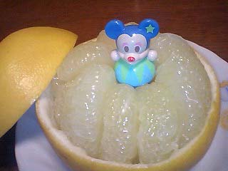 19�Ԓ�q�@�������܍�i