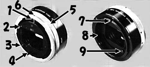 �G�N�X�e���V�����`���[�u