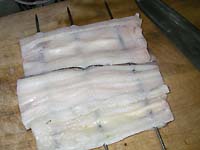 穴子レシピ 穴子の串刺し方法