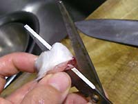 ���q���V�s�@���q�̍��Ɠ��̗��p