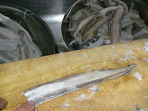 ���q���V�s