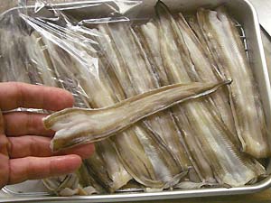 ���q���V�s