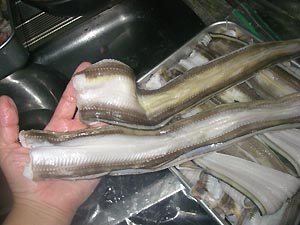 ���q���V�s