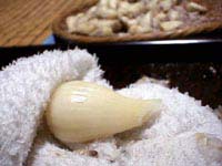 �D���Ɣ����Ă��܂�