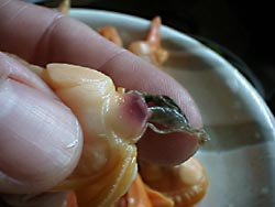 �΂��L�����g