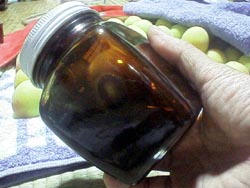  �~�v���[��