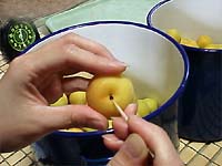 �|���Ńw�^�����