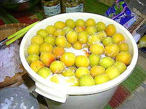 L�T�C�Y�̓썂�~6kg