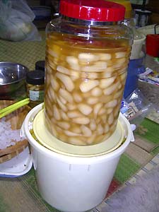 L�T�C�Y�̓썂�~6kg