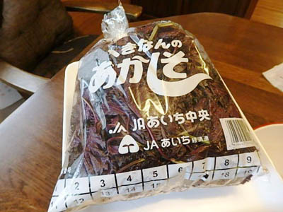 �ւ��Ȃ�̐Ԏ��h��������