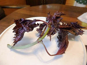 �ւ��Ȃ�̐Ԏ��h��������