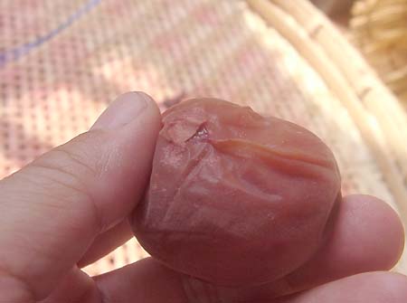 �y�p����1����