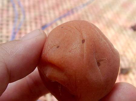 �y�p����1����