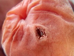 �y�p����1����