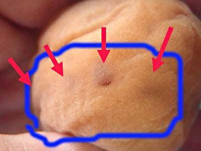 �y�p����1����