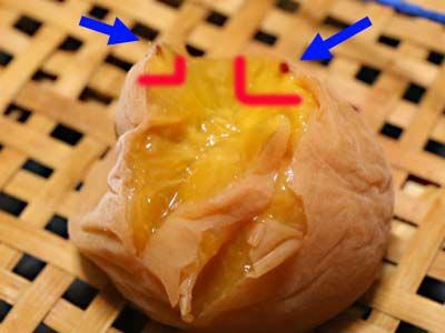 �y�p����1����