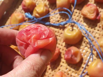 �y�p����1����