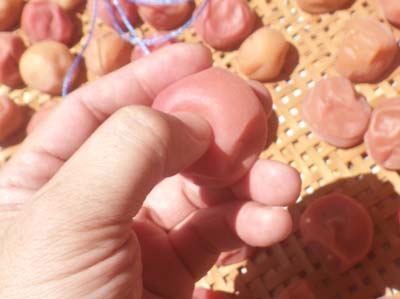 �y�p����1����