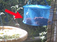 �~�����y�p����