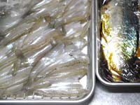 �~�����y�p����