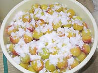 �Ē����܂Ԃ�