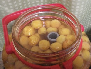 �~�|�z���u