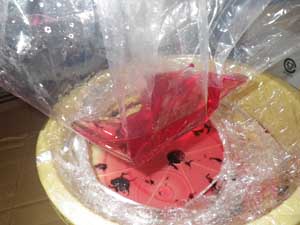 �X�y�[�T�[����