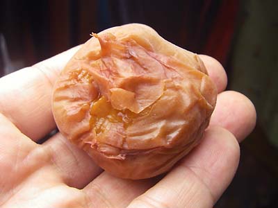 �y�p����1����