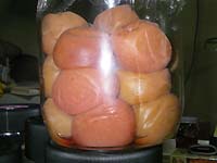 �~�����̕ۑ�