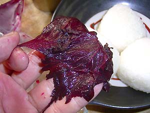 ���ɂ���p�̐Ԏ��h