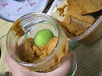 �~�i�G�L�X�j���X�̍���