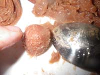 �~���̍���