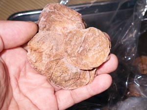 干し梅の作り方