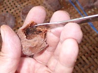 �����~�̍���