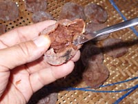 �����~�̍���