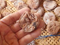 �����~�̍���