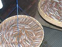 �킩������銱��