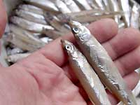 �킩������銱��