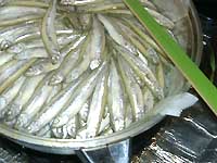 �ނ������J�T�M