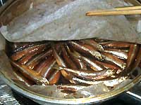 �ނ������J�T�M