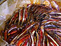 �ނ������J�T�M